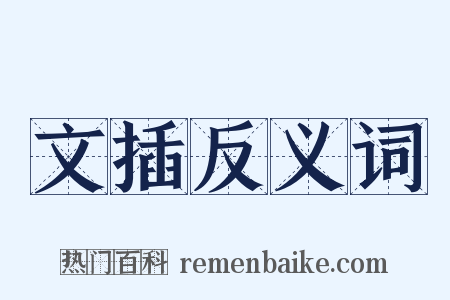 文插反义词是什么意思的图片
